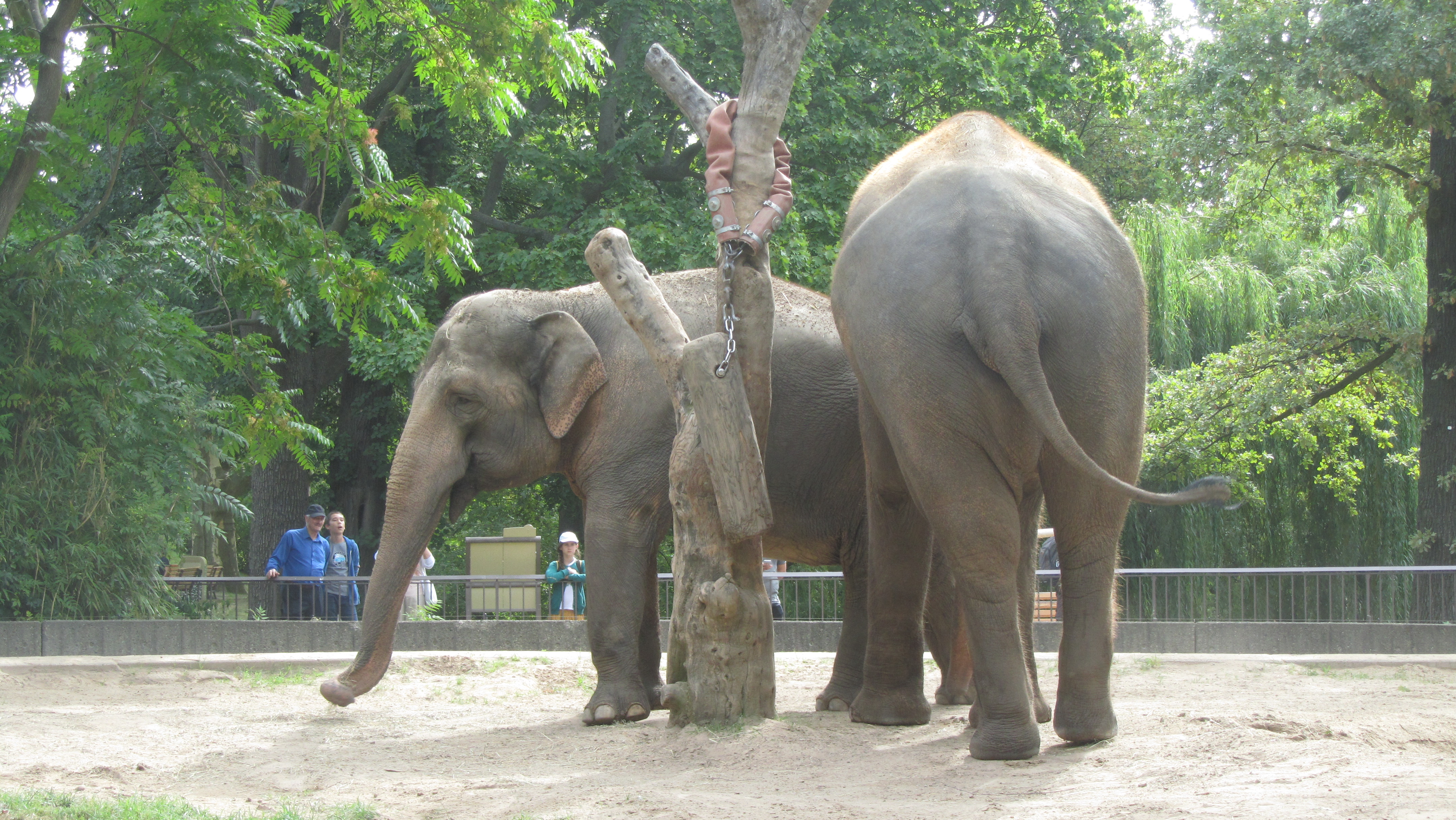Photo numéro 63 - Championnat du Monde de Berlin 2018