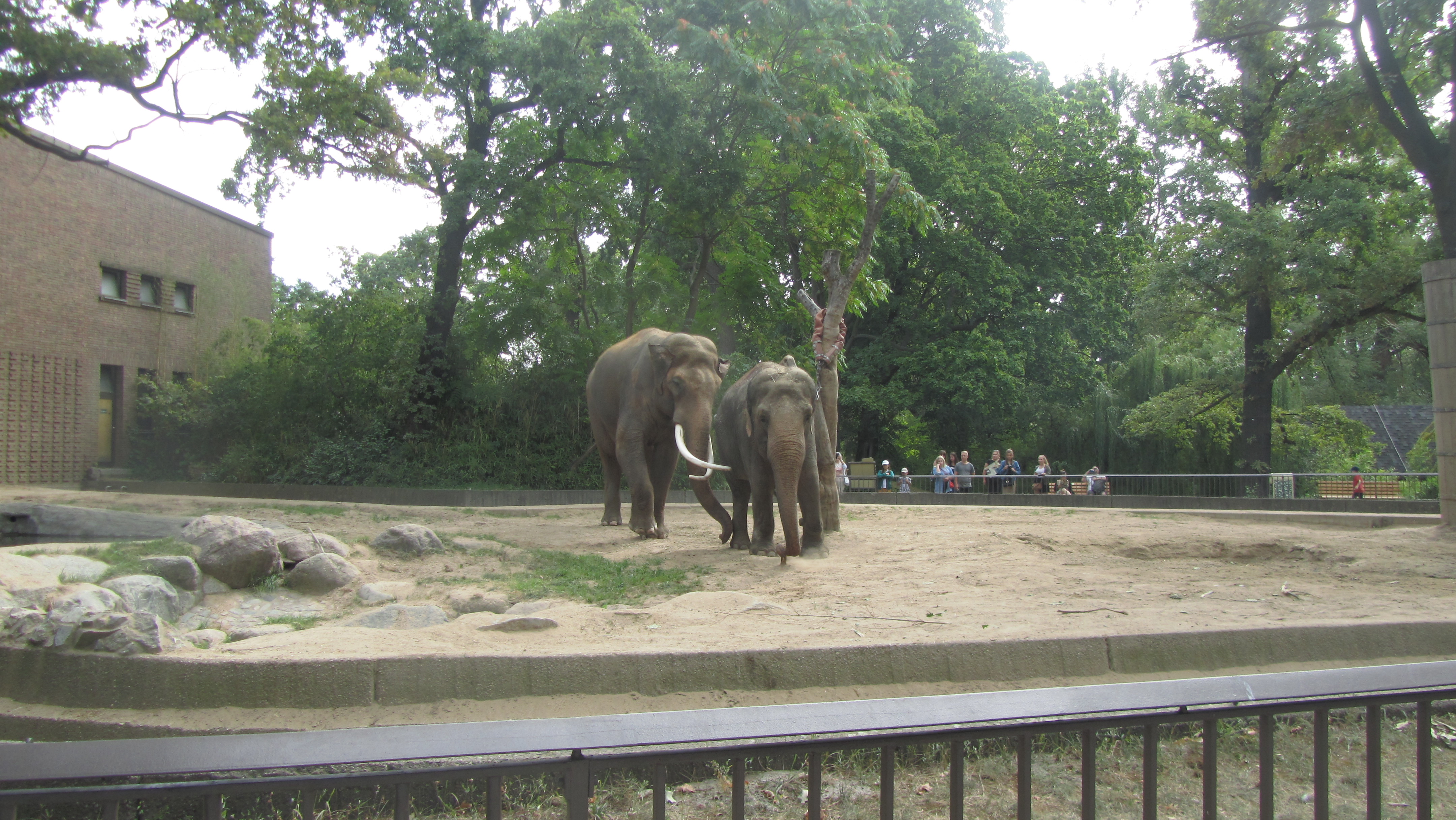 Photo numéro 64 - Championnat du Monde de Berlin 2018