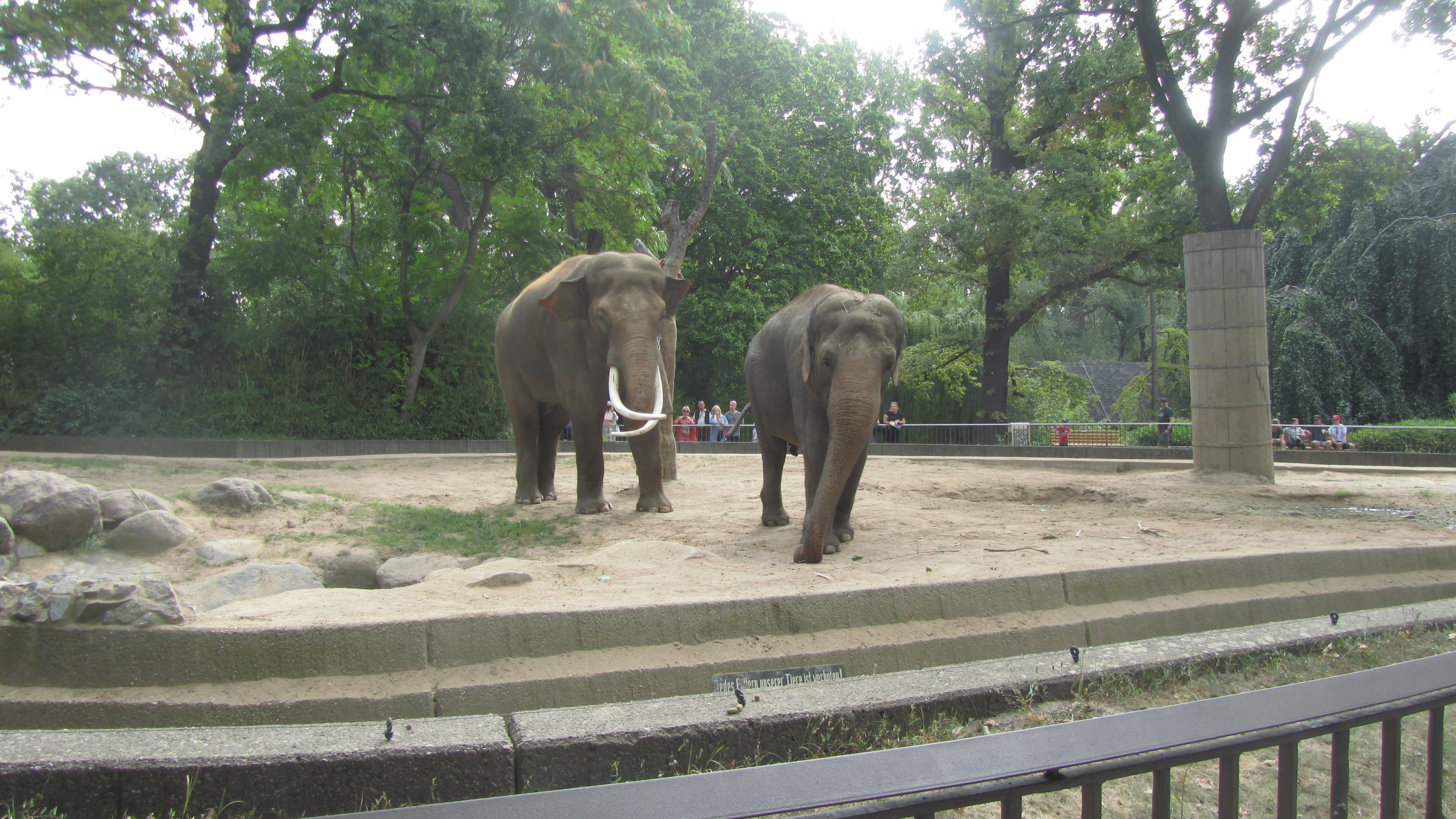 Photo numéro 65 - Championnat du Monde de Berlin 2018