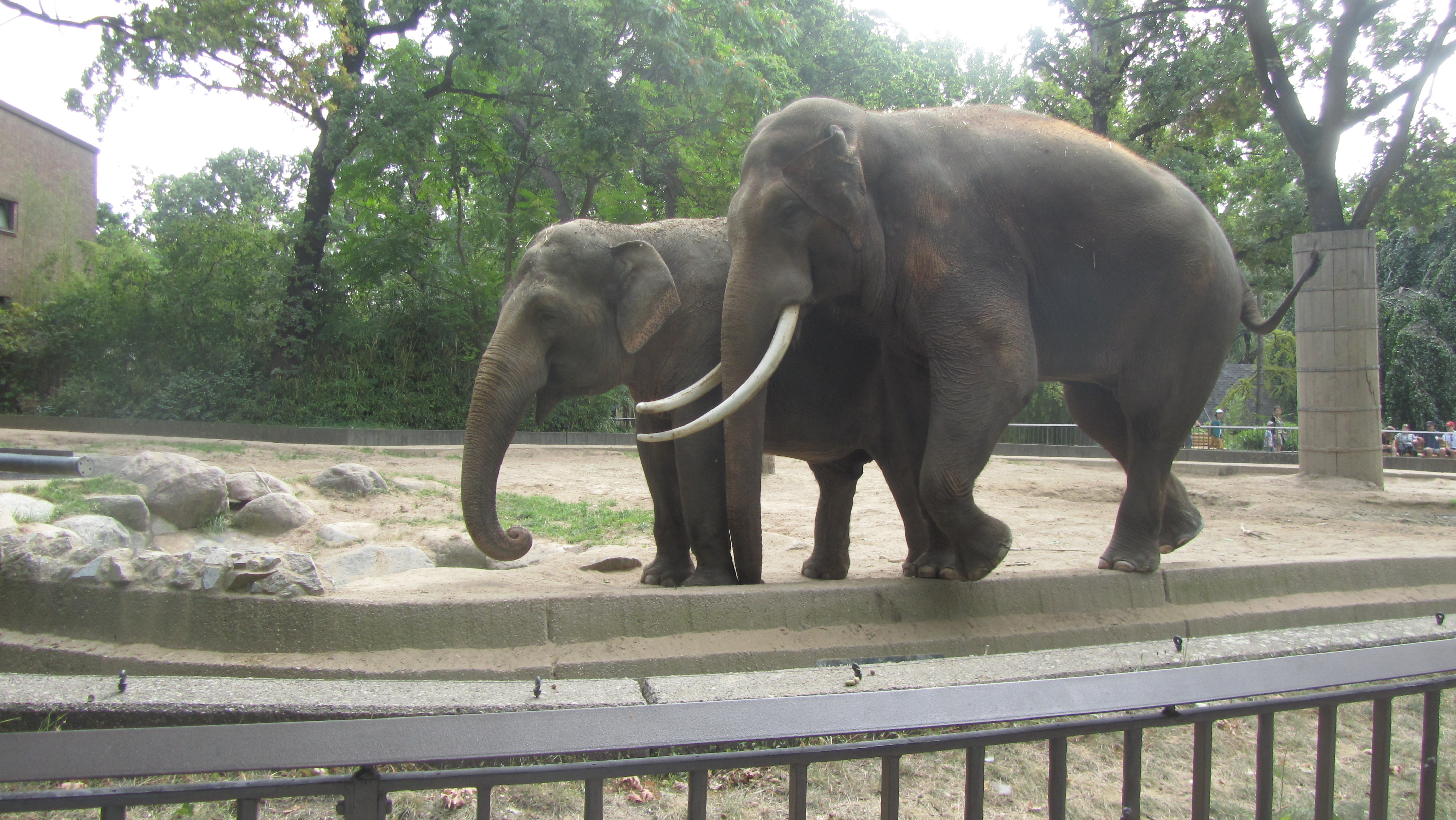 Photo numéro 66 - Championnat du Monde de Berlin 2018