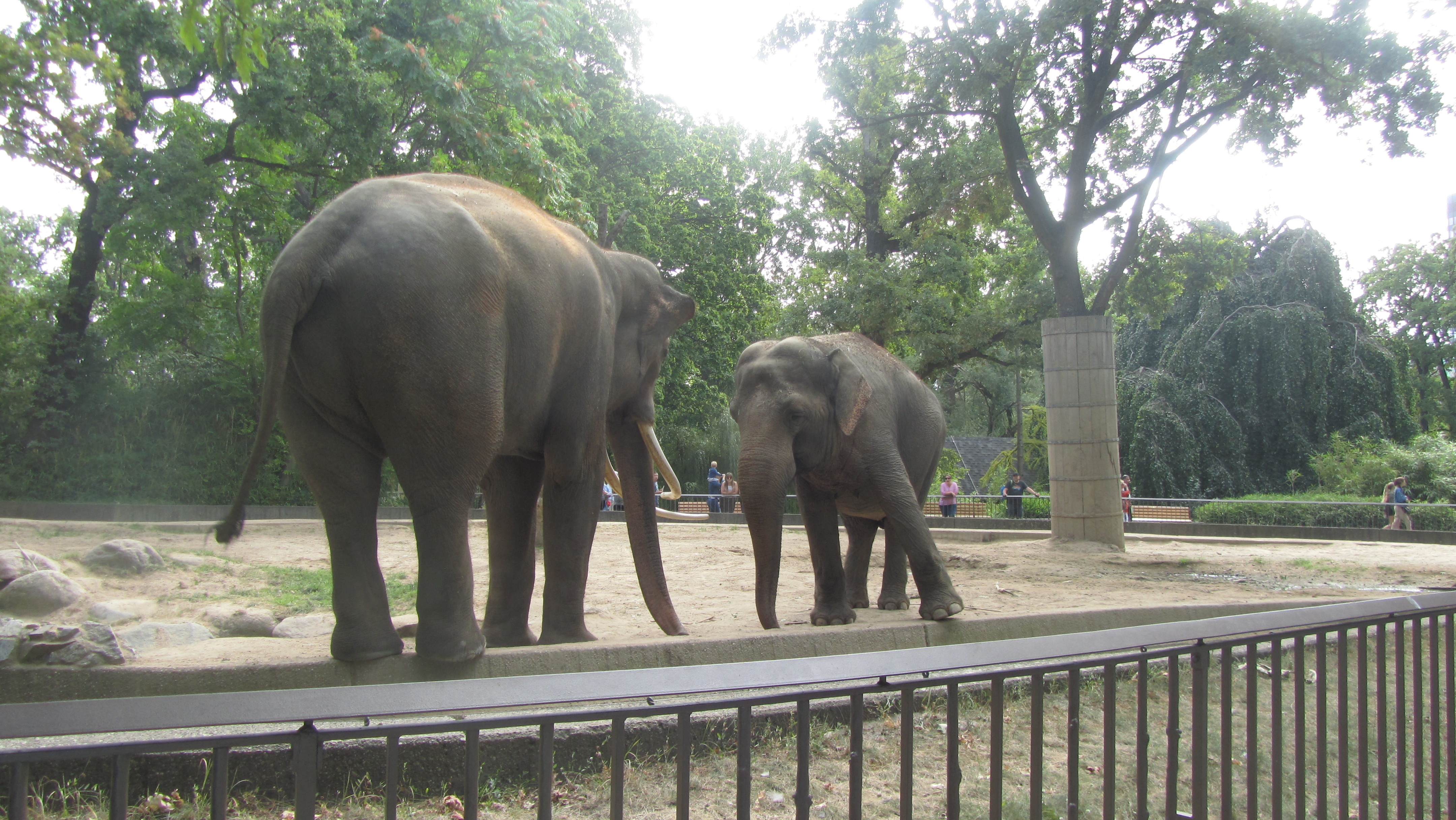 Photo numéro 67 - Championnat du Monde de Berlin 2018