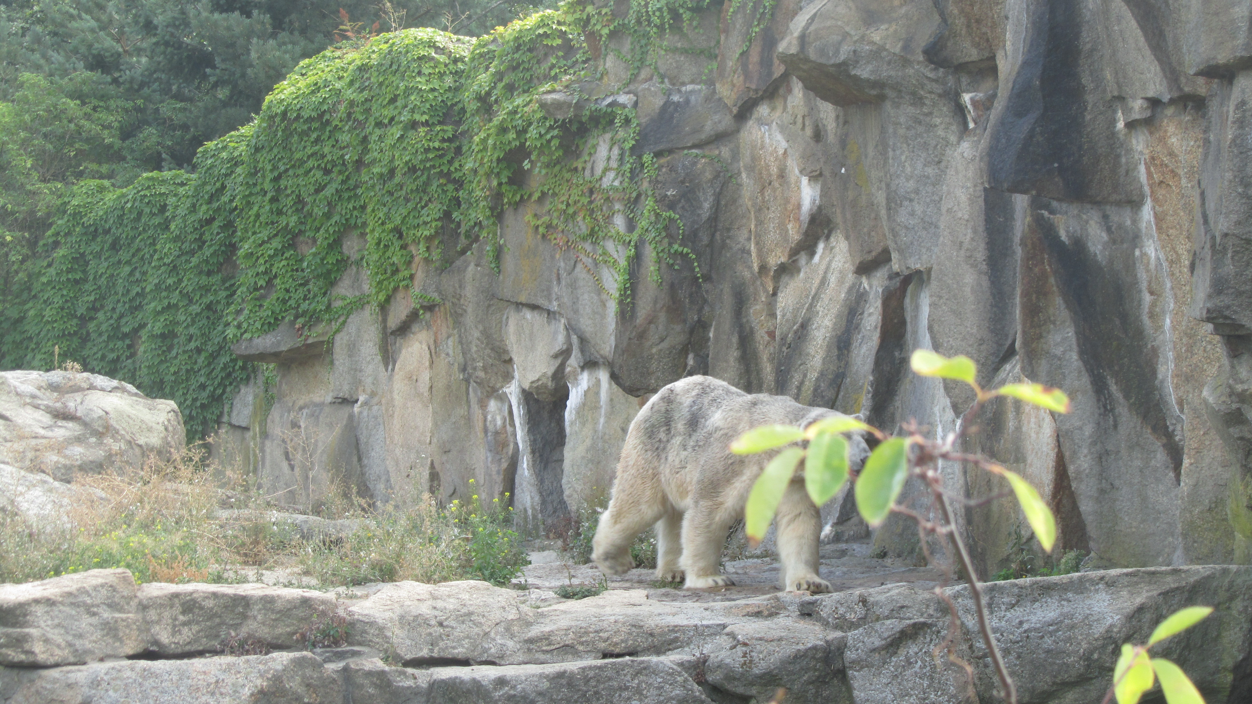 Photo numéro 69 - Championnat du Monde de Berlin 2018