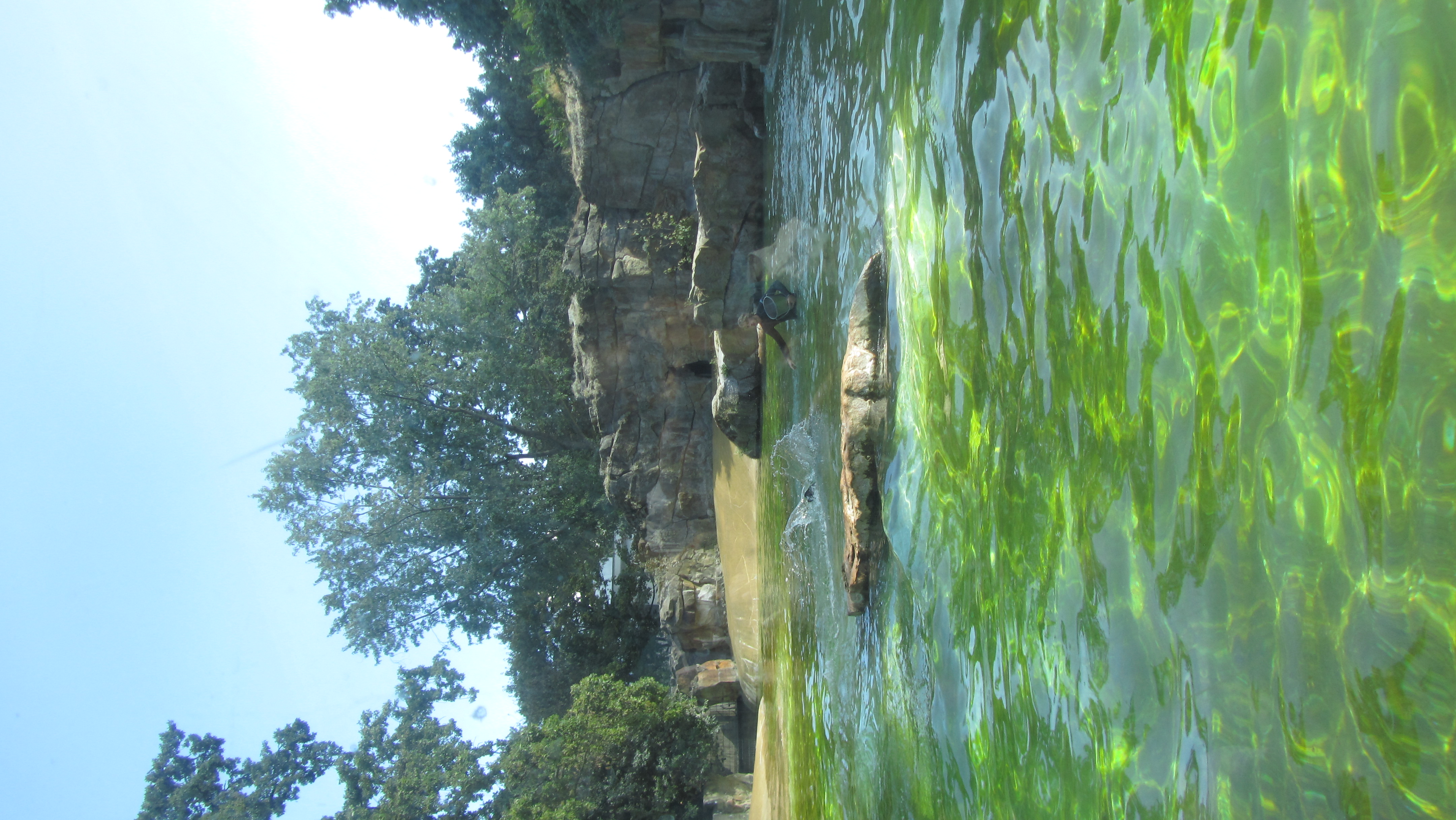 Photo numéro 76 - Championnat du Monde de Berlin 2018