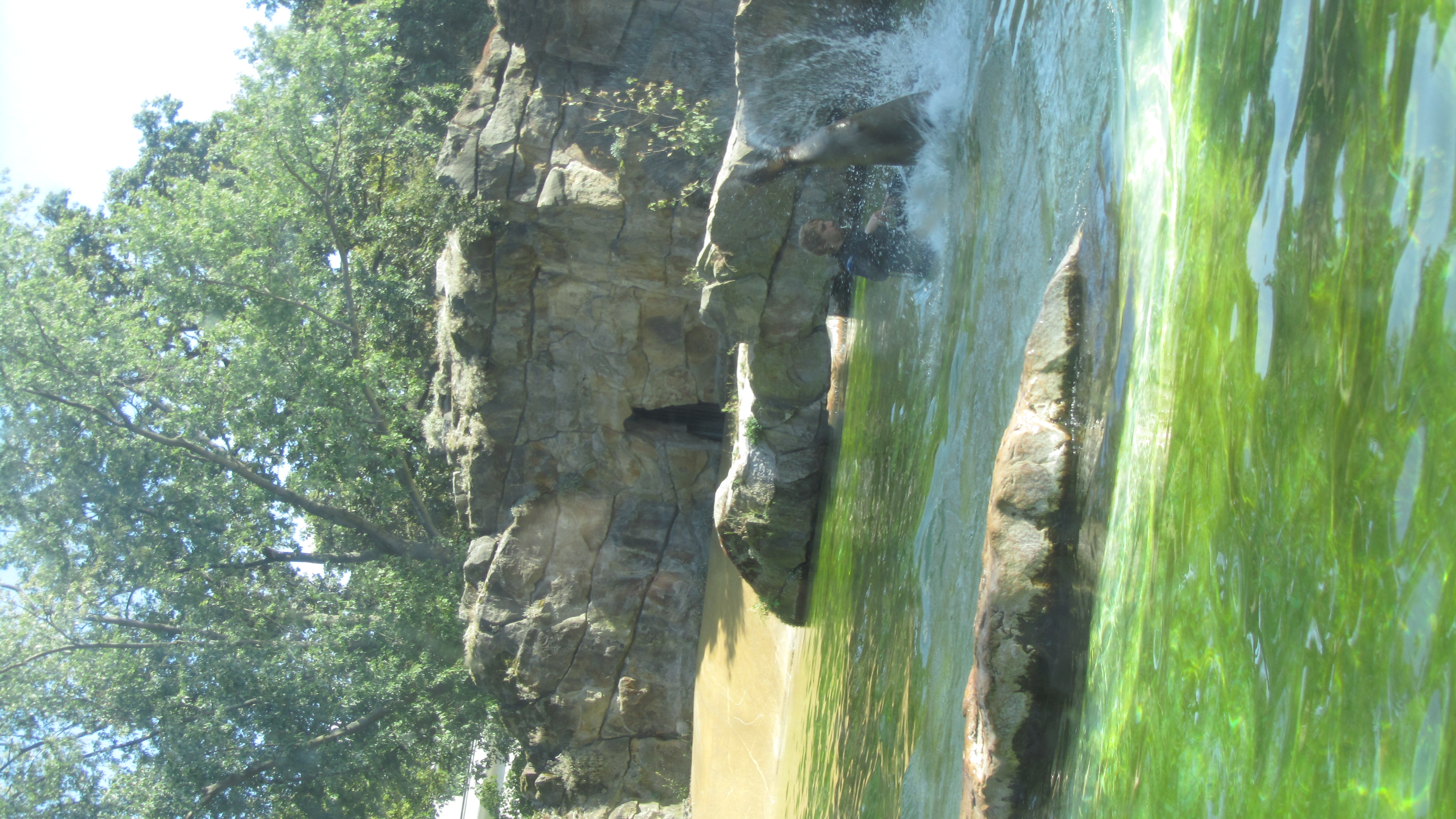 Photo numéro 77 - Championnat du Monde de Berlin 2018