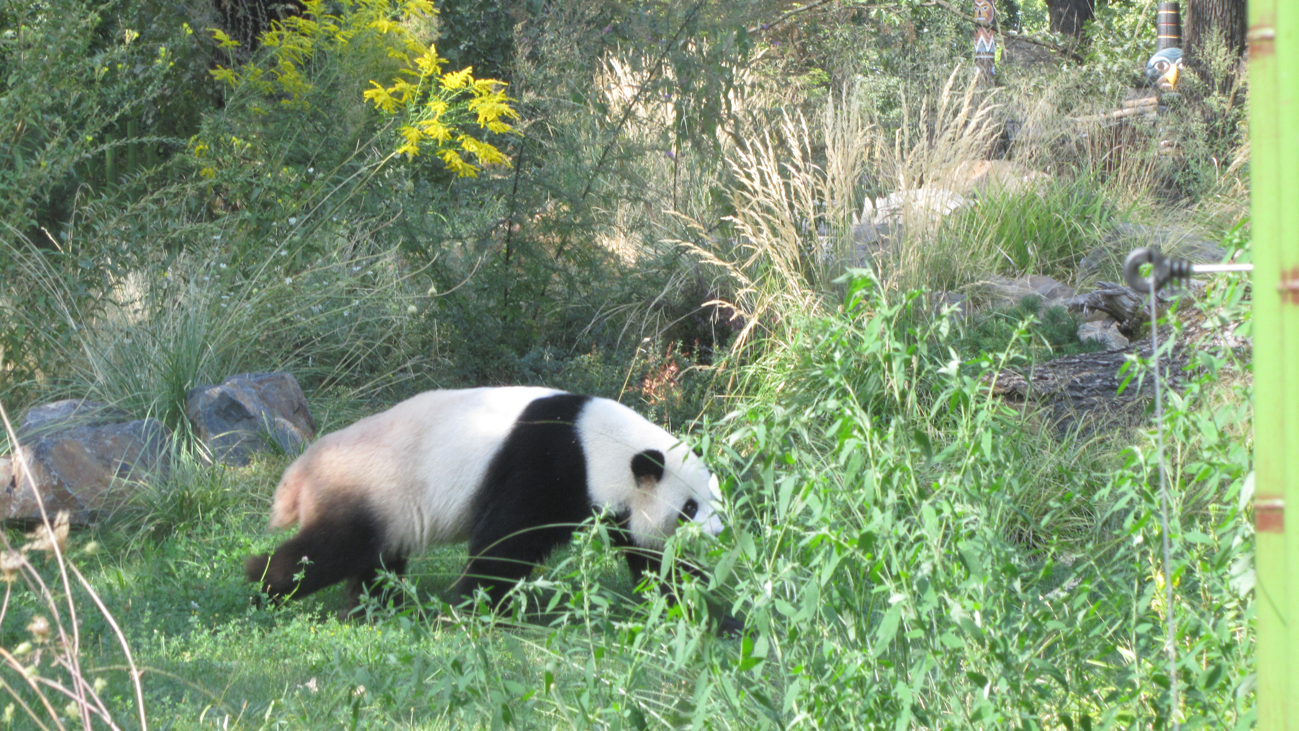 Photo numéro 78 - Championnat du Monde de Berlin 2018