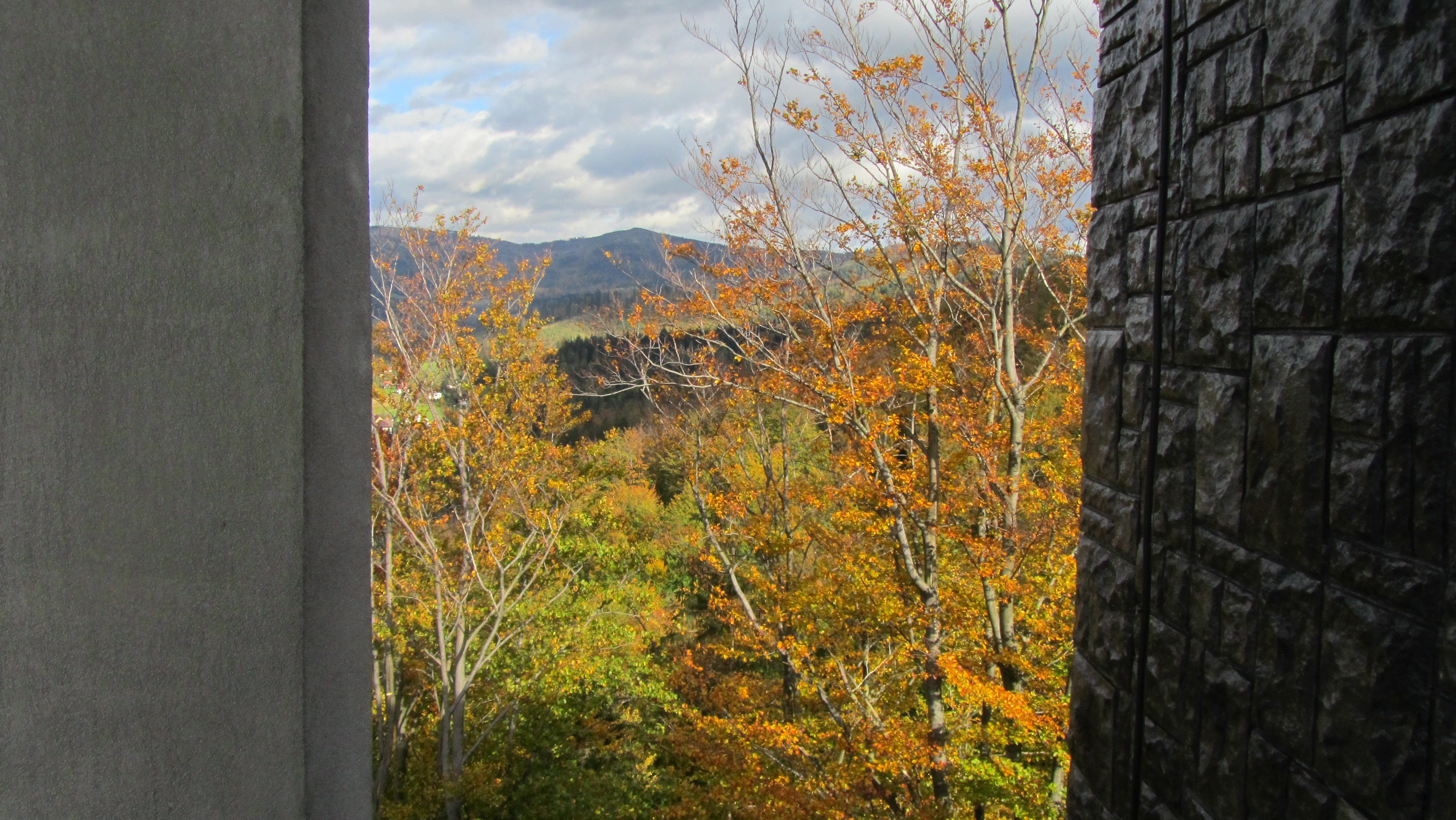 Photo numéro 20 - Championnat d'Europe de Wisła 2017