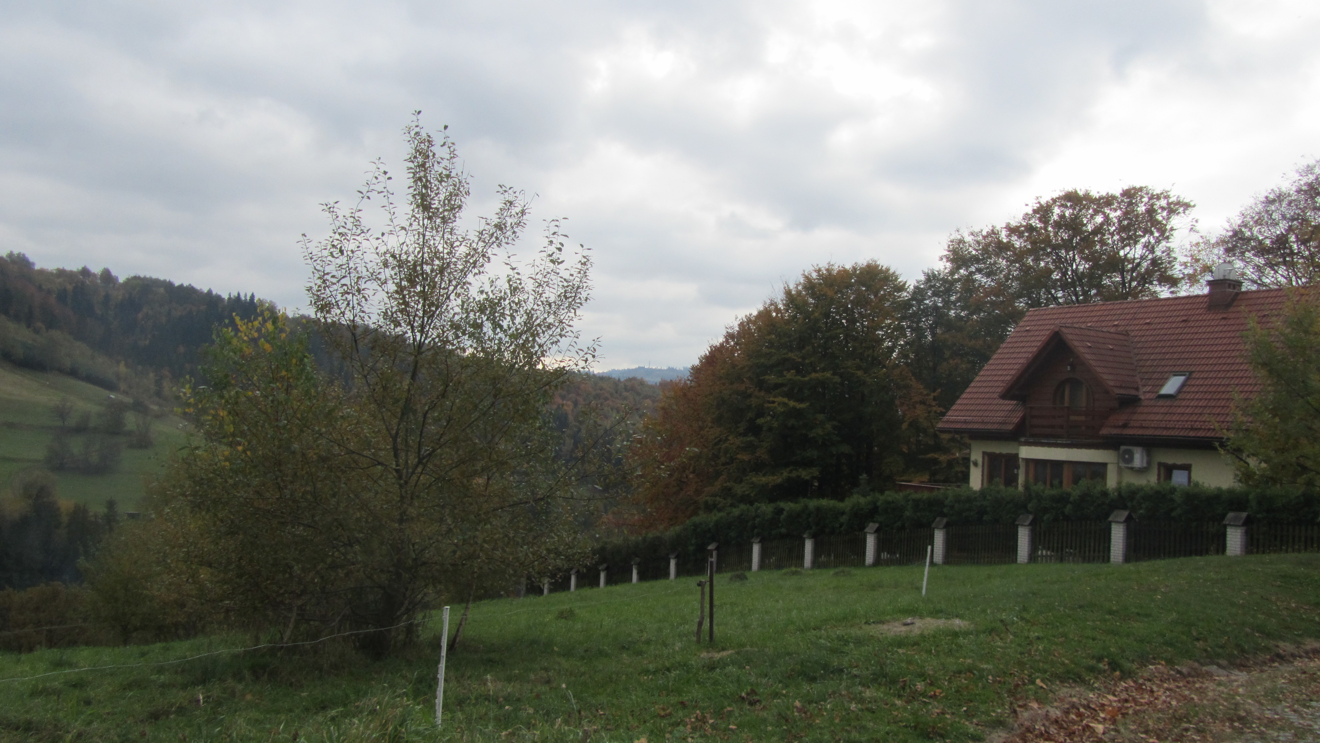 Photo numéro 30 - Championnat d'Europe de Wisła 2017