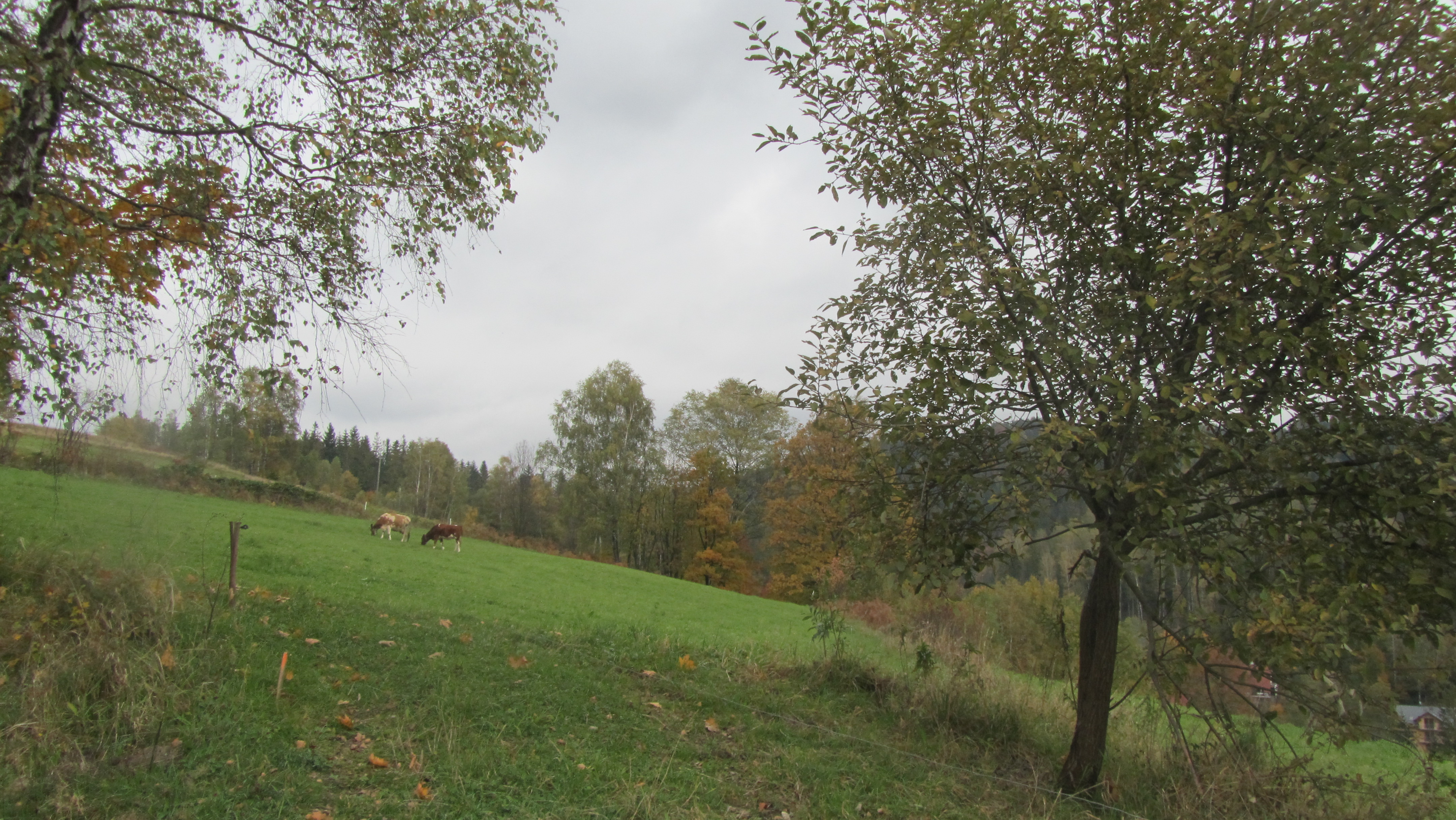 Photo numéro 64 - Championnat d'Europe de Wisła 2017