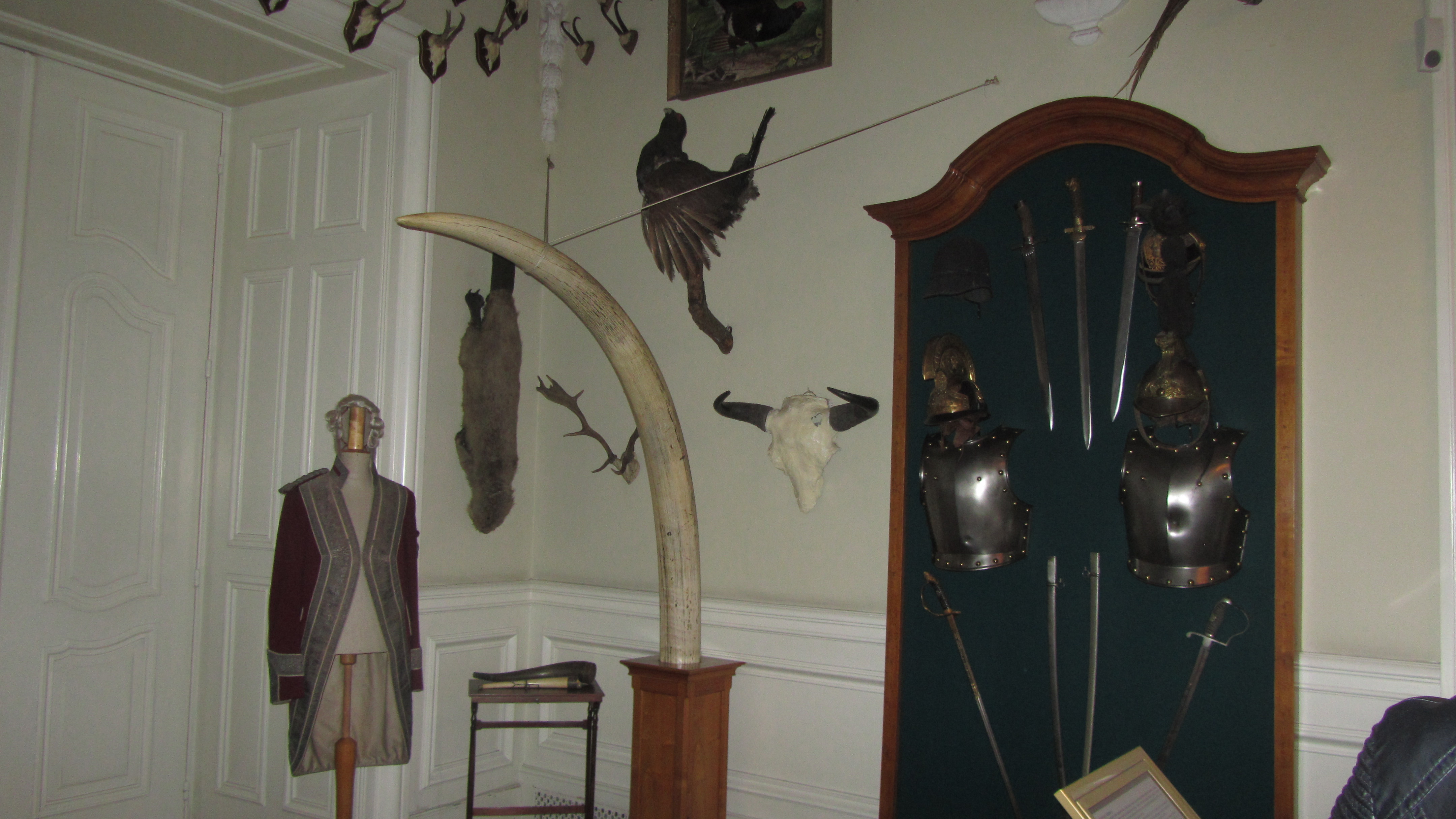 Photo numéro 96 - Championnat d'Europe de Wisła 2017