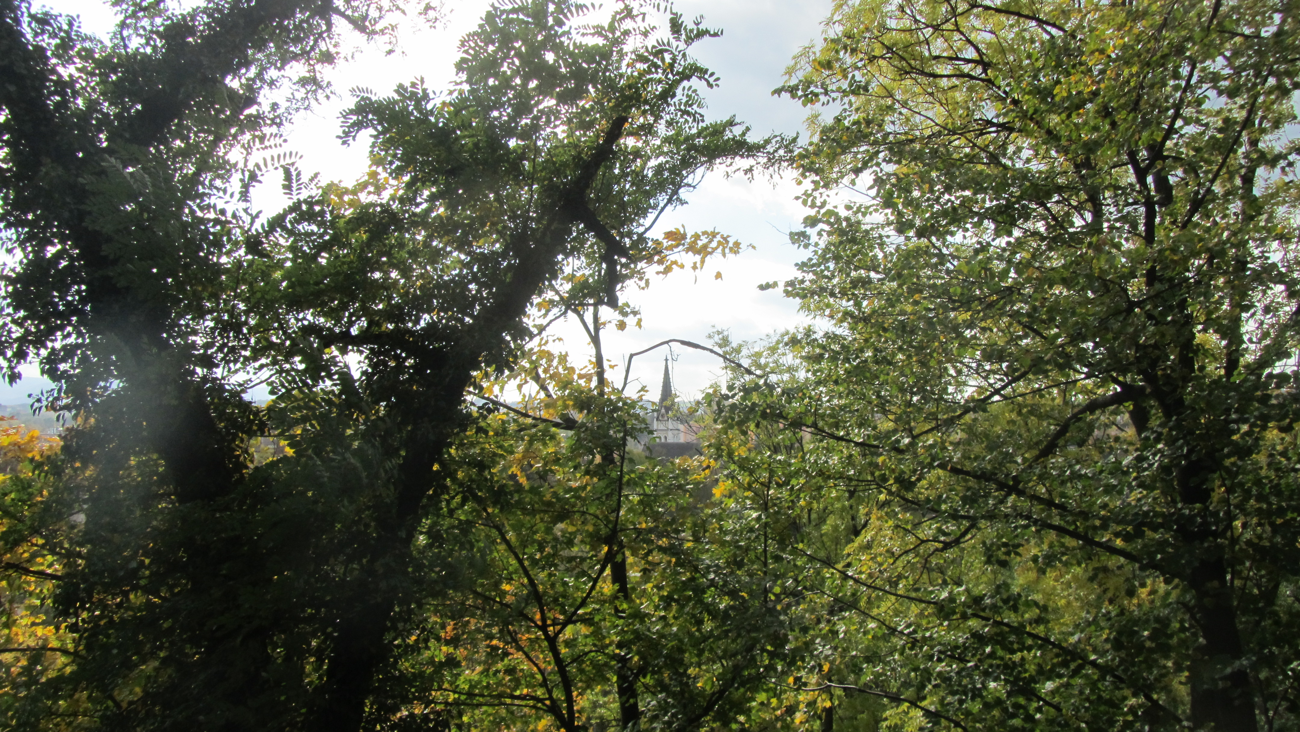 Photo numéro 97 - Championnat d'Europe de Wisła 2017